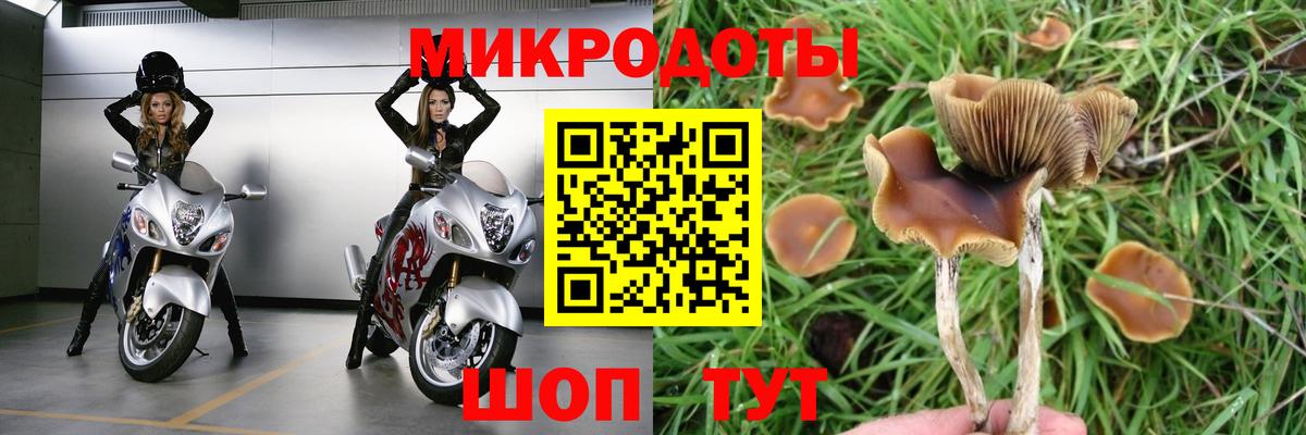 Выкса  Псилоцибиновые грибы MAGIC MUSHROOMS  Вход с VPN 